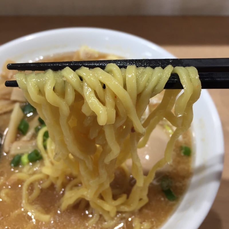 MONCHAN RAMEN SHUN(もんちゃんラーメン シュン) 味噌ラーメン 麺