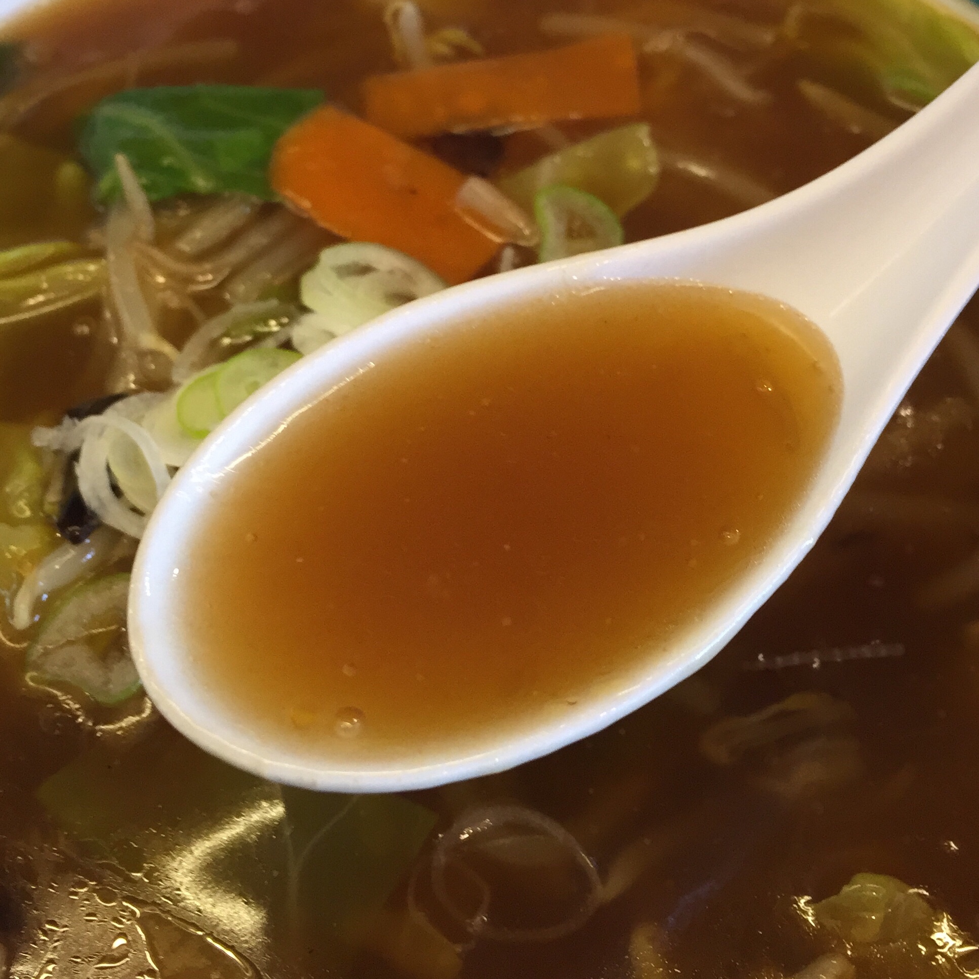 らーめんプラザ菜花 横手店 広東麺 スープ