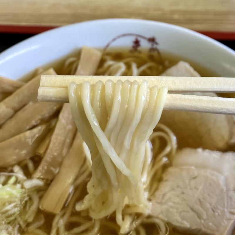 味の店 まるき食堂 遊佐駅前 山形県飽海郡遊佐町遊佐 ラーメン 醤油ラーメン 麺