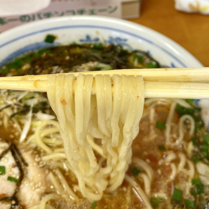 彩光らーめん ラーメン彩光 秋田県大仙市鑓見内 旧中仙町 辛味入りらーめん ねぎみそ 激辛トッピング ネギ味噌ラーメン 麺