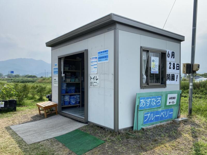 あすなろブルーベリー農園 青森県平川市大坊竹原