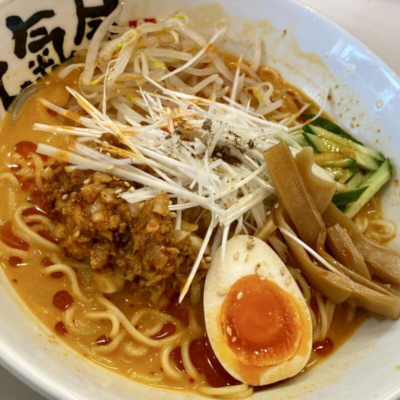 らぁめん元氣屋 能代店 秋田県能代市中柳 冷やし担担麺 担々麺 夏季限定ラーメン 具