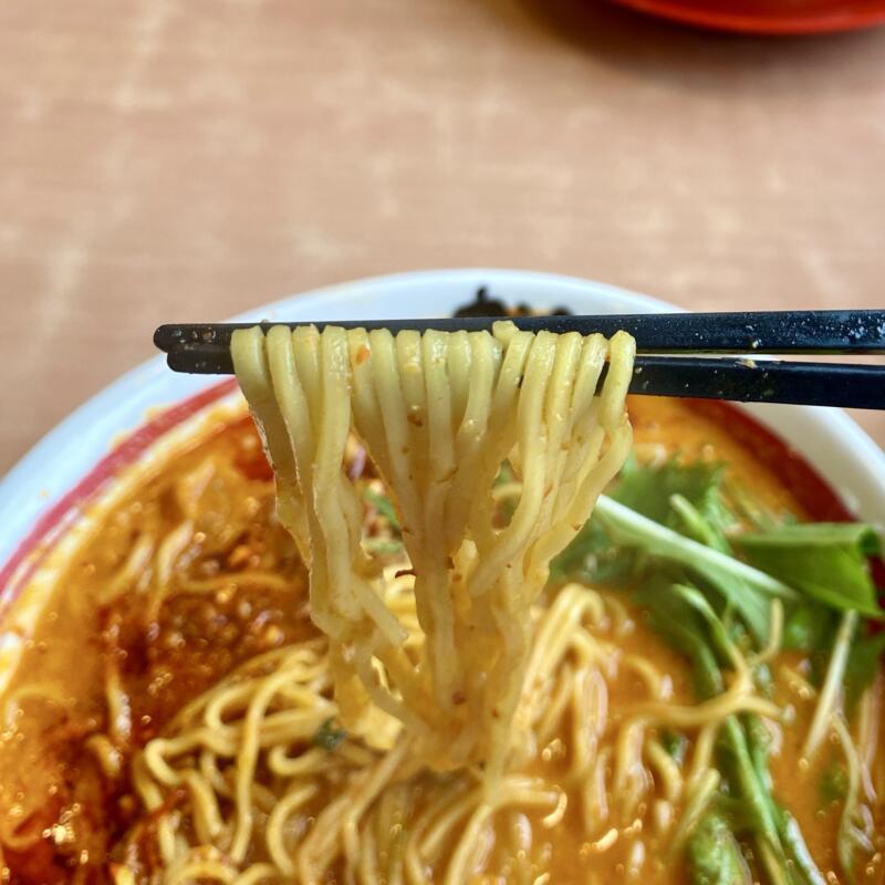 桃源花 富谷店 とうげんか とみやてん 宮城県富谷市鷹乃杜 四川担々麺 麺