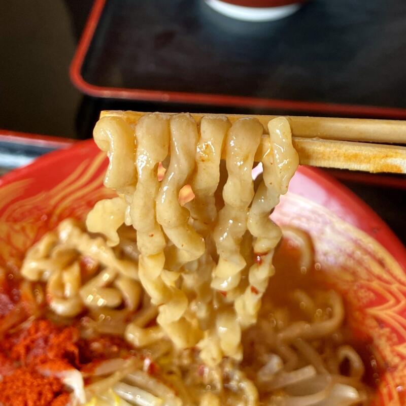 極中華蕎麦ひろた 青森八戸店 青森県八戸市南類家 極中華蕎麦FUJI RED(小) フジレッド 麺