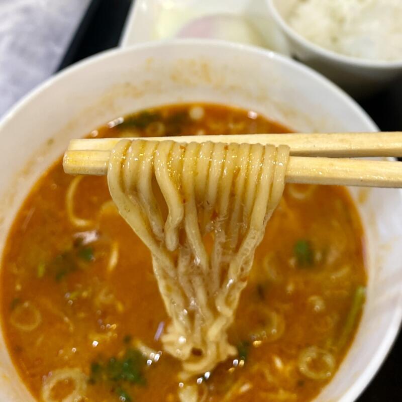 自家製麺 麺や二代目 夜来香 イエライシャン 秋田県秋田市下新城中野 スーラーまぜつけ麺 追い飯 温玉 パクチー スーラーつけ麺 自家製麺