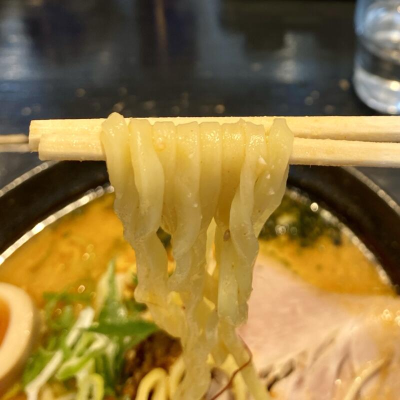 手作り麺 めん僮楽 めんどうらく 山形県山形市落合町 うま辛味噌らーめん 旨辛味噌ラーメン 僮楽麺 自家製麺