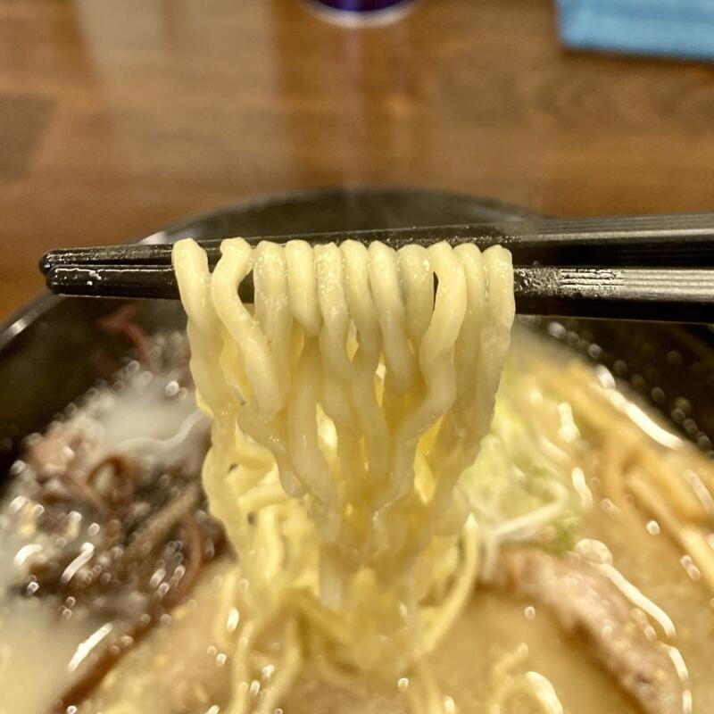 らーめん 白南風 しらはえ 山形県酒田市東泉町 こくしおらーめん 塩豚骨ラーメン 麺