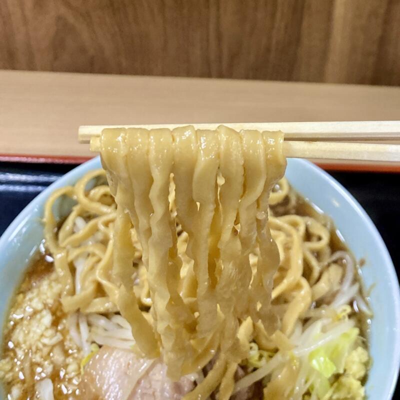 らーめん 蓮 れん 福島県福島市上名倉 小ラーメン 豚骨ラーメン 二郎系ラーメン ニンニク ショウガ 刻みタマネギ 自家製麺