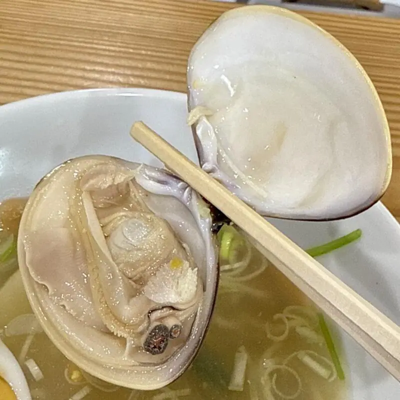 波音 はおん cafe カフェ 千葉県南房総市高崎 岩井海岸 岩井海水浴場 はまぐりラーメン 塩ラーメン 蛤