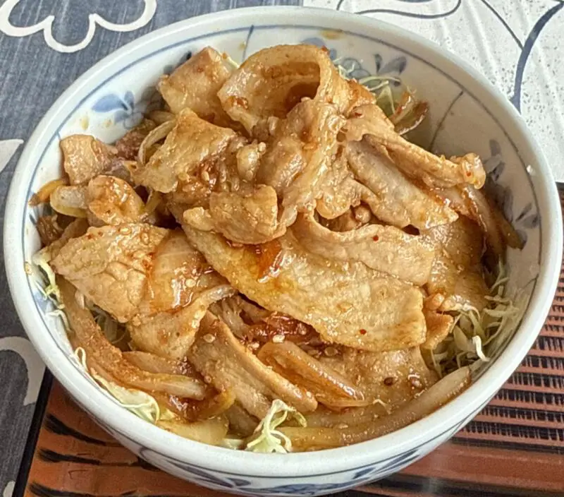 千里十里 ちりとり 秋田県湯沢市表町 ミニスタ丼 ピリ辛焼肉丼