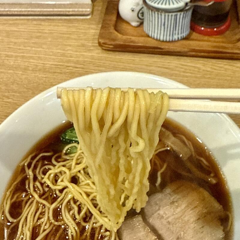 大江戸 県庁前店 新潟県新潟市中央区出来島 秋田ご当地 江戸系ラーメン 醤油ラーメン ニラ辛薬味 ヤマヨのめん 麺