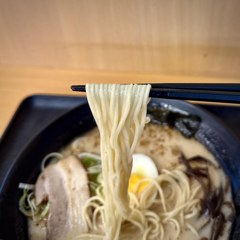おべんとうのヒライ 岱明町高道店 熊本県玉名市岱明町高道 山ちゃんラーメン マー油豚骨ラーメン 熊本ラーメン 麺