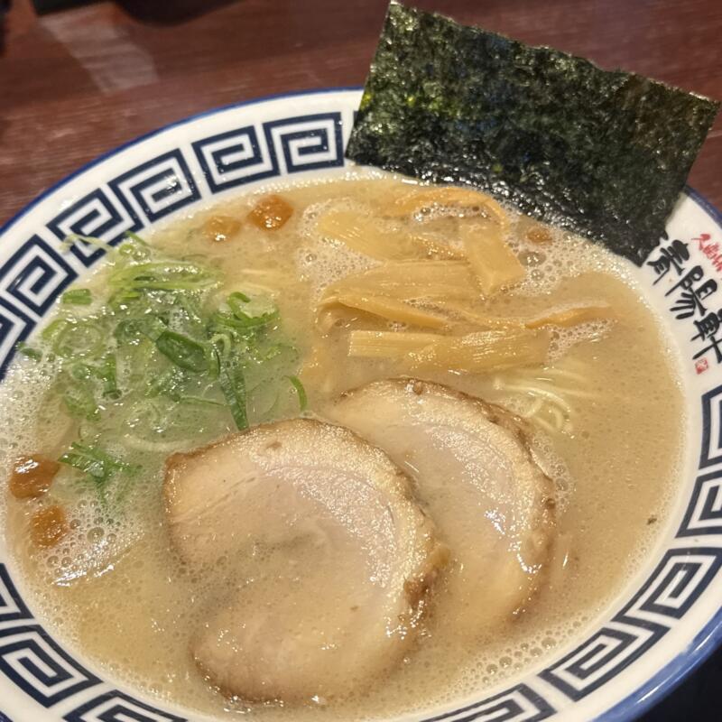 久留米ラーメン清陽軒 諏訪野町本店 福岡県久留米市諏訪野町 屋台仕込みラーメン 豚骨ラーメン 具