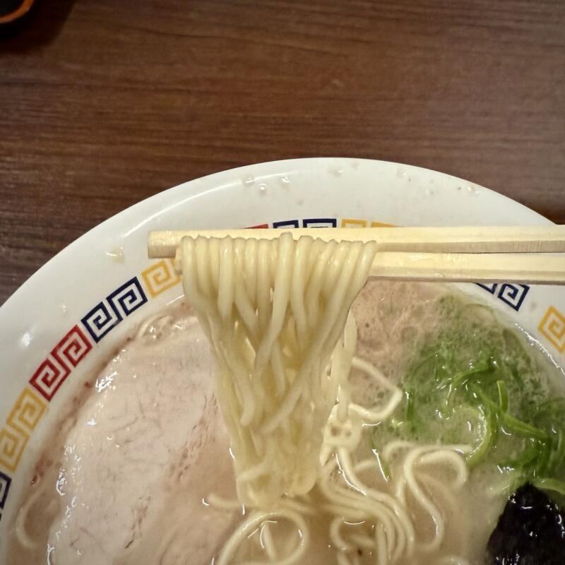 丸星ラーメン 丸星中華そばセンター 国道系ラーメン 福岡県久留米市高野 ラーメン 久留米ラーメン 豚骨ラーメン 麺
