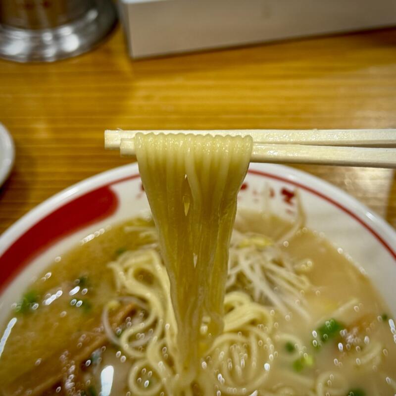 らーめん本舗 さといも 大島本店 宮崎県宮崎市大島町原の前 らーめん 豚骨醤油ラーメン 宮崎ラーメン 自家製麺