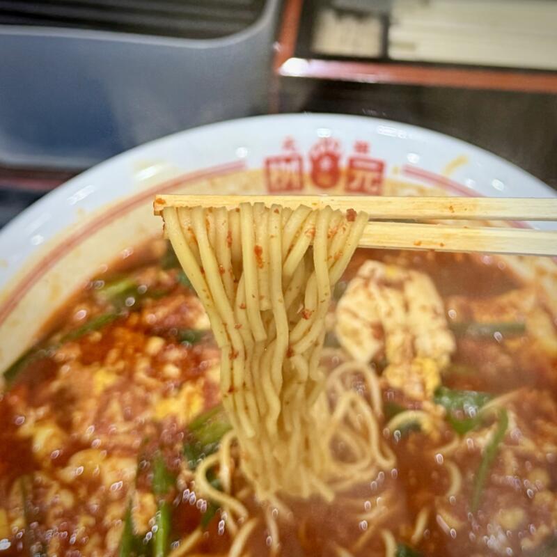 辛麺屋 桝元 宮崎本店 宮崎県宮崎市新別府町土田 元祖辛麺レギュラー 15辛 中華麺 麺