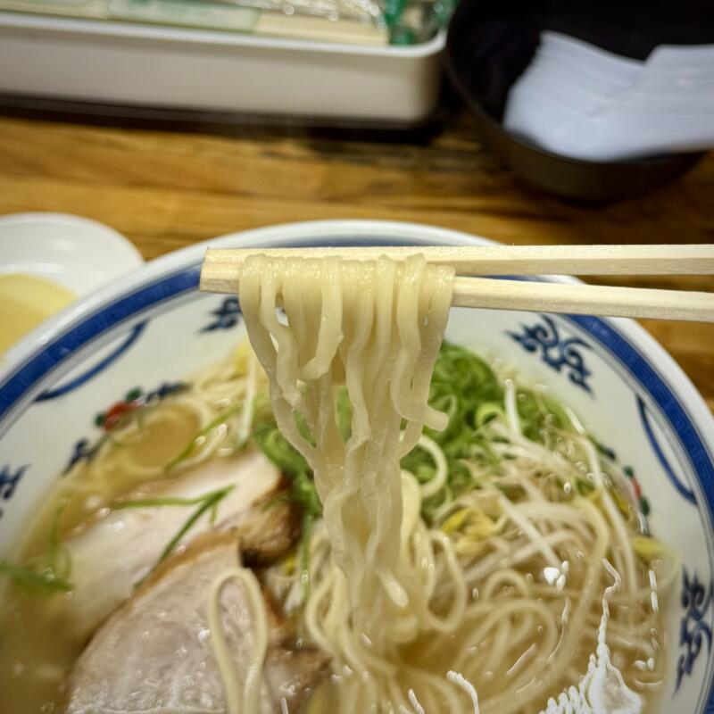 マルチョンラーメン 志布志本店 鹿児島県志布志市志布志町志布志 中ラーメン 鹿児島ラーメン 豚骨ラーメン 自家製麺