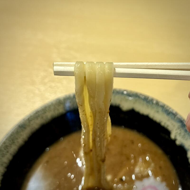 麺屋ぶしがみ 岩手県花巻市下小舟渡 インディー花巻 INDY500花巻敷地内 節つけ麺 濃厚豚骨魚介系つけめん 自社製麺