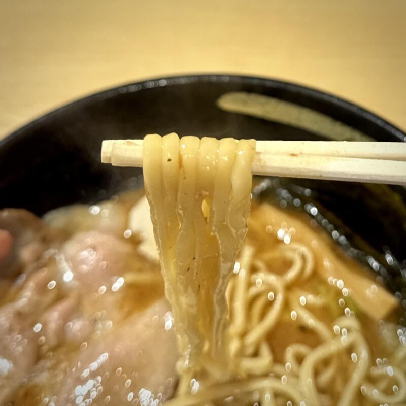 麺屋ぶしがみ 岩手県花巻市下小舟渡 インディー花巻 INDY500花巻敷地内 ぶしがみラーメン 濃厚豚骨魚介系ラーメン 自社製麺