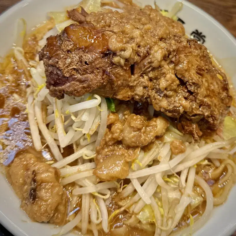 純米濃厚味噌ラーメン かぐら堂 秋田県秋田市仁井田新田 コーエーフーズ 味噌二郎 ラーメン二郎インスパイア 味噌ラーメン 野菜増し 脂増し 具