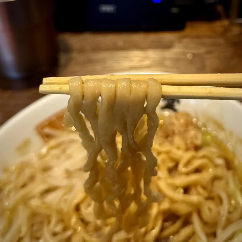 純米濃厚味噌ラーメン かぐら堂 秋田県秋田市仁井田新田 コーエーフーズ 味噌二郎 ラーメン二郎インスパイア 味噌ラーメン 野菜増し 脂増し 麺
