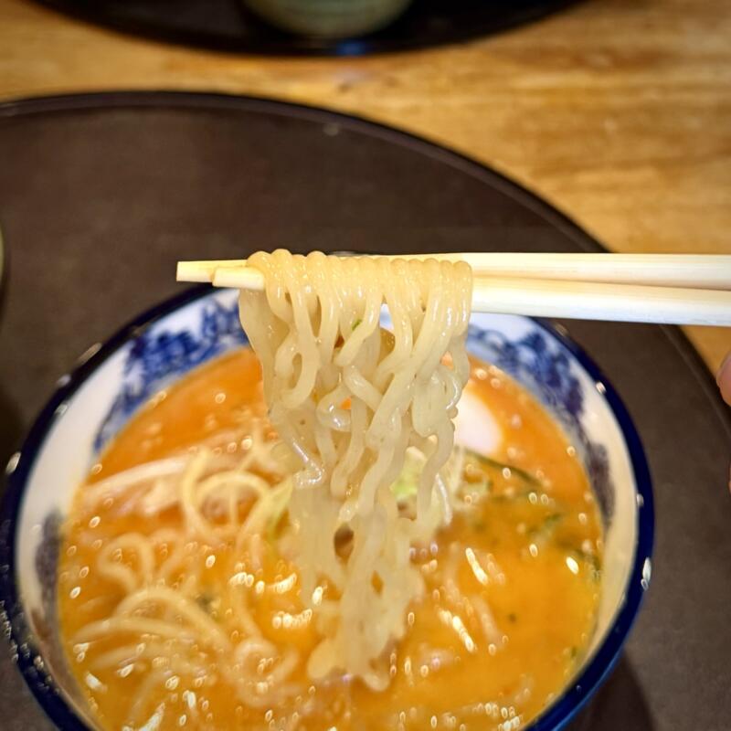 海鮮たくみ 宮城県大崎市田尻沼部 旧田尻町 冷やし担々麺 釜揚げしらす山椒丼 ハーフ＆ハーフセット 麺