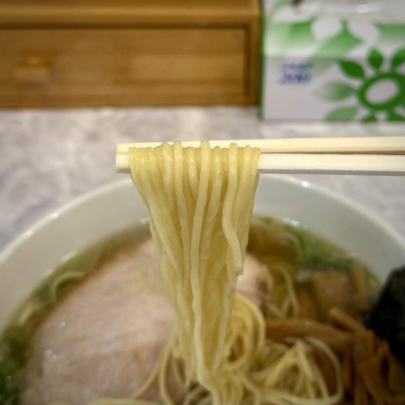 自家製麺 麺や二代目 夜来香 イエライシャン 秋田県秋田市下新城中野 追分駅 町中華そば 醤油ラーメン ノスラー 自家製麺
