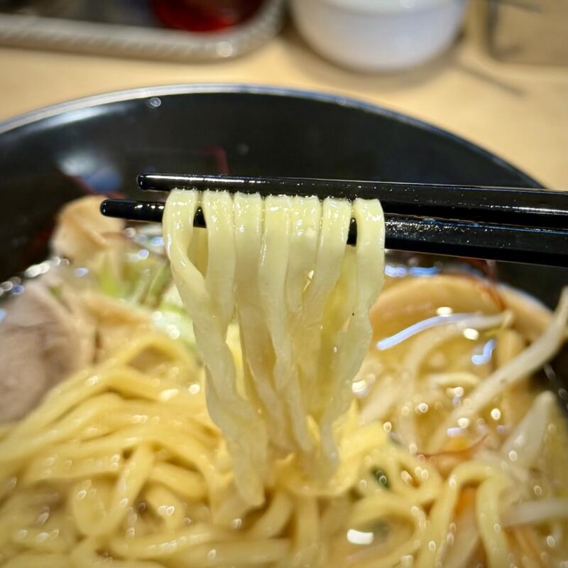 みそらぁめん みそのこまち 元氣屋グループ 秋田県秋田市山王 蔵出し味噌らぁめん 味噌ラーメン 自家製麺