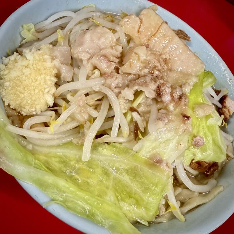 ラーメン二郎 新潟店 新潟県新潟市中央区万代 ラーメン小 豚骨醤油ラーメン 朝ラー ニンニク アブラ 具