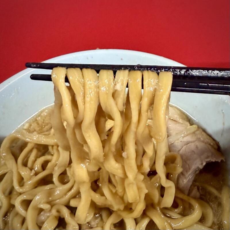 ラーメン二郎 新潟店 新潟県新潟市中央区万代 ラーメン小 豚骨醤油ラーメン 朝ラー ニンニク アブラ 自家製麺