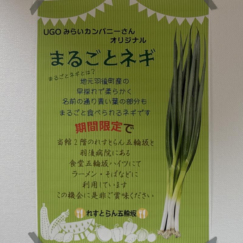食堂 五輪坂ハイツ 秋田県雄勝郡羽後町西馬音内 羽後病院敷地内 メニュー 羽後町産 まるごとネギ