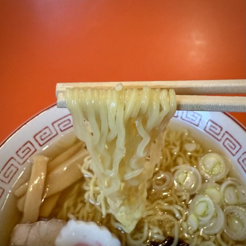紅梅食堂 こうばいしょくどう 岩手県宮古市大通 老舗 町中華 中華そば 醤油ラーメン 麺