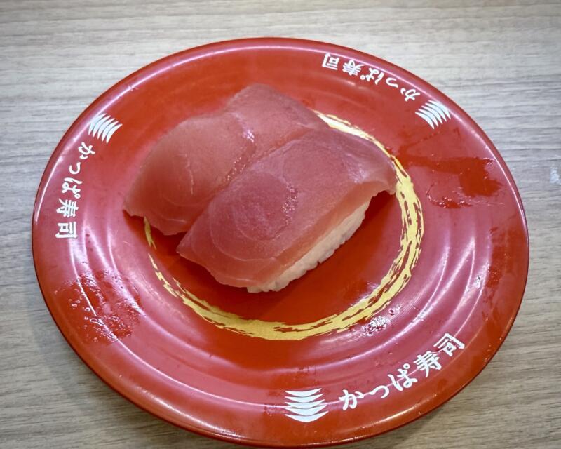 かっぱ寿司 由利本荘店 秋田県由利本荘市石脇 大切りまぐろ