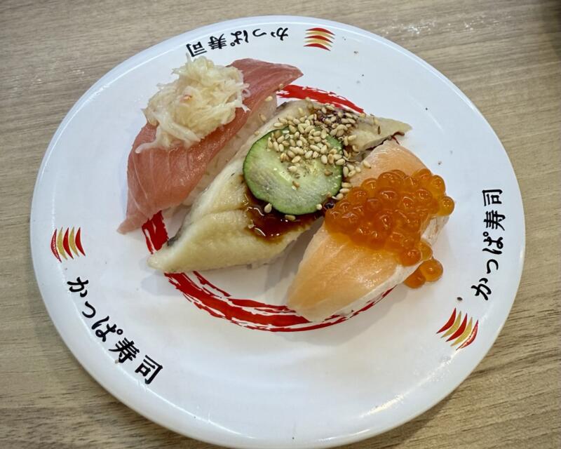 ごち寿司かっぱの彩りとろ三昧