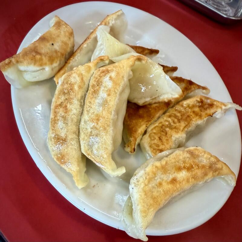 君津餃子大ちゃんらーめん 大ちゃんラーメン ご当地 君津豚骨 君津とんこつ 千葉県君津市常代  Ｗギョーザ