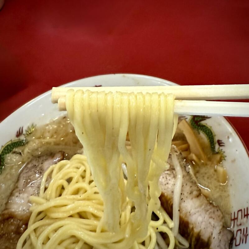 君津餃子大ちゃんらーめん 大ちゃんラーメン ご当地 君津豚骨 君津とんこつ 千葉県君津市常代  とんしお 文明軒 麺