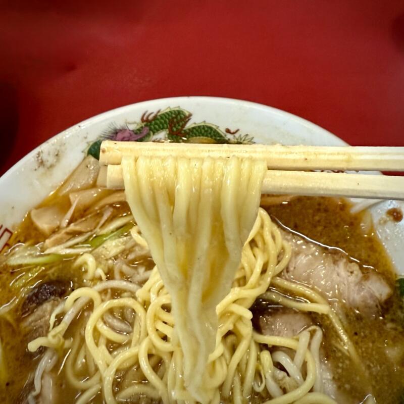 君津餃子大ちゃんらーめん 大ちゃんラーメン ご当地 君津豚骨 君津とんこつ 千葉県君津市常代  みそ 味噌ラーメン 文明軒 麺