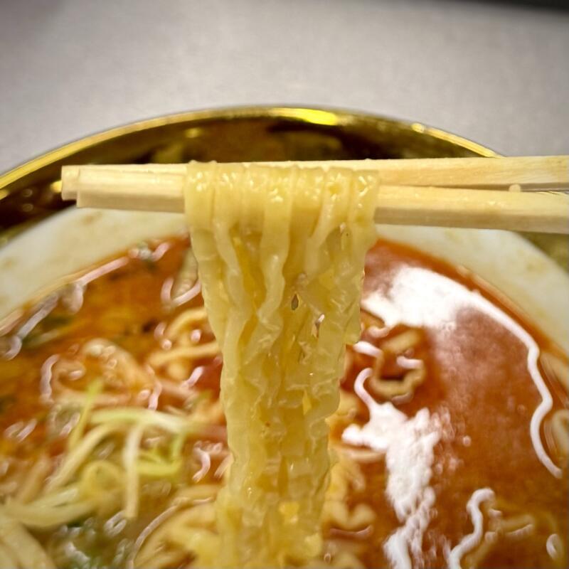 鬼そば藤谷 総本店 秋田県大仙市長野 旧中仙町 道の駅なかせん ドンパン節の里内 世界の炙り辛味噌らぁ麺 辛味噌ラーメン 浅草開化楼 麺