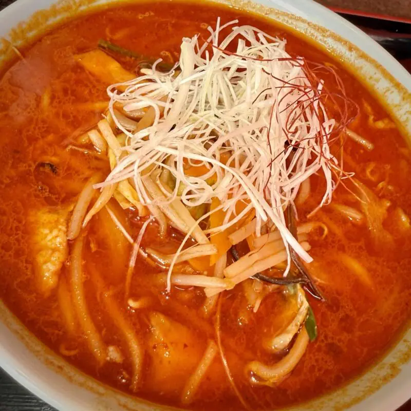 辛さ一本道 路山 西根店 岩手県盛岡市下田 赤南蛮醤油タンメン 赤南蛮正油タンメン 激辛 具