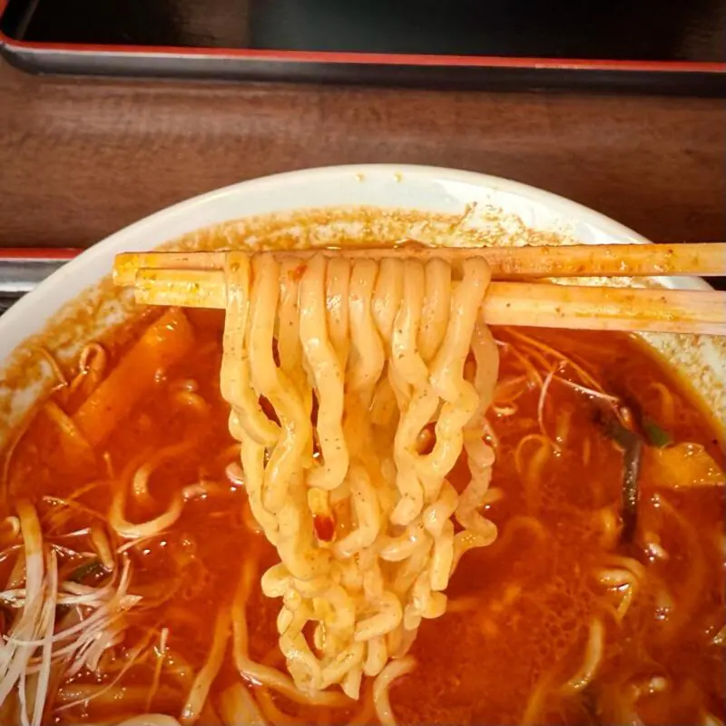 辛さ一本道 路山 西根店 岩手県盛岡市下田 赤南蛮醤油タンメン 赤南蛮正油タンメン 激辛 麺