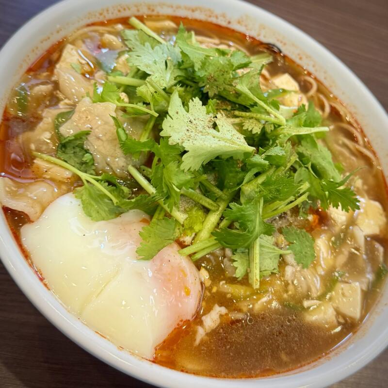 自家製麺 麺や二代目 夜来香 イエライシャン 秋田県秋田市下新城中野 追分駅 黒酢とパクチーのスーラータンメン 具