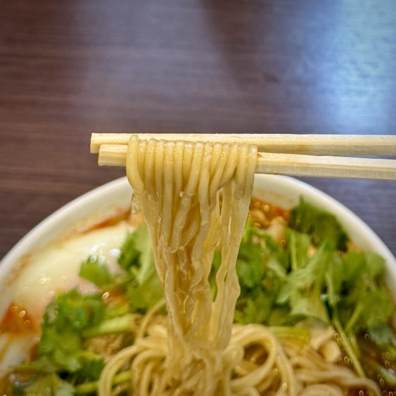 自家製麺 麺や二代目 夜来香 イエライシャン 秋田県秋田市下新城中野 追分駅 黒酢とパクチーのスーラータンメン 自家製麺