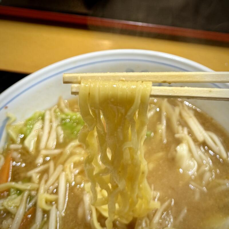 こけし食堂 宮城県気仙沼市田中前 不動の沢駅 みそラーメン 味噌ラーメン 麺