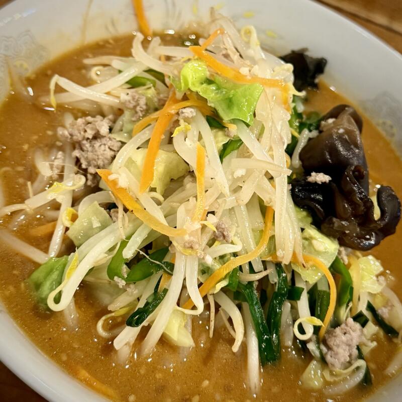 三代目 福建楼 ふっけんろう 岩手県盛岡市みたけ 青山駅 辛味噌ラーメン 具