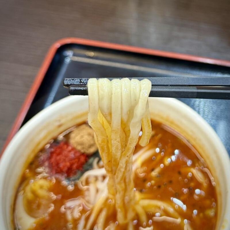 麺屋 はつがい 津志田店 岩手県盛岡市津志田中央 岩手飯岡駅 辛つけめん 辛いつけ麺 並盛 麺