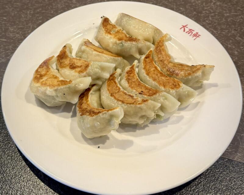 中国料理 大南軒 だいなんけん 山形県尾花沢市横町 大石田駅 餃子二点盛り ギョーザ ニンニク餃子 海老餃子