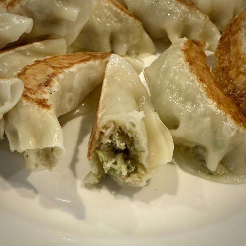 中国料理 大南軒 だいなんけん 山形県尾花沢市横町 大石田駅 餃子二点盛り ギョーザ ニンニク餃子