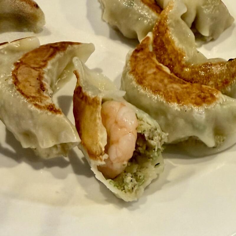 中国料理 大南軒 だいなんけん 山形県尾花沢市横町 大石田駅 餃子二点盛り エビギョーザ 海老餃子