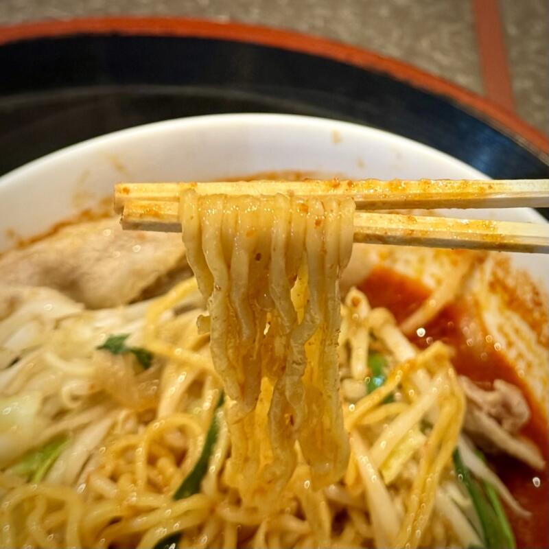 中国料理 大南軒 だいなんけん 山形県尾花沢市横町 大石田駅 焼肉ジャン 大辛 辛い焼肉ラーメン 麺