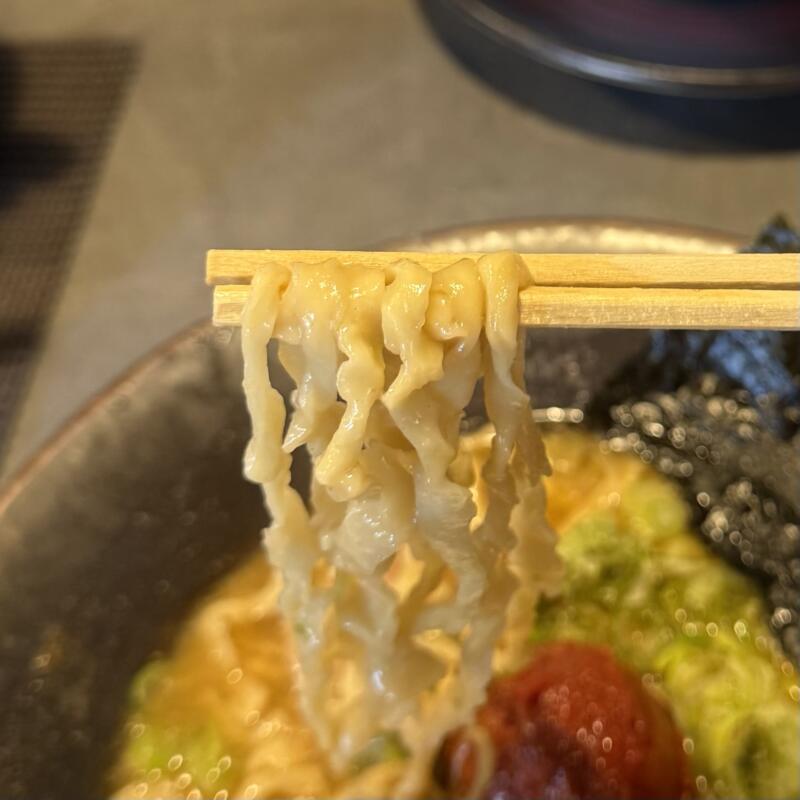 Ramen Ao ラーメン アオ 秋田県秋田市川尻御休町 辛味噌らぁ麺 辛味噌ラーメン 自家製麺